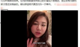 网红黑料是什么意思,网络舆论背后的真相与反思